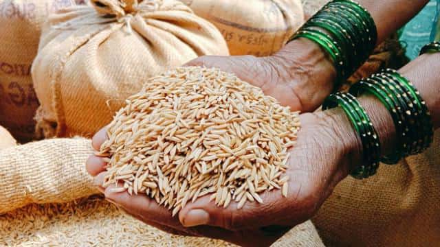 पोहा उद्योग - poha manufacturing raw material - साळ