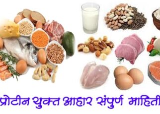 प्रोटीन युक्त आहार मराठी(Protein yukt ahar information in marathi)