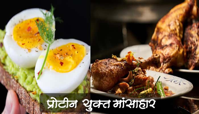 मांसाहार - प्रोटीन युक्त आहार मराठी(Protein yukt ahar information in marathi)