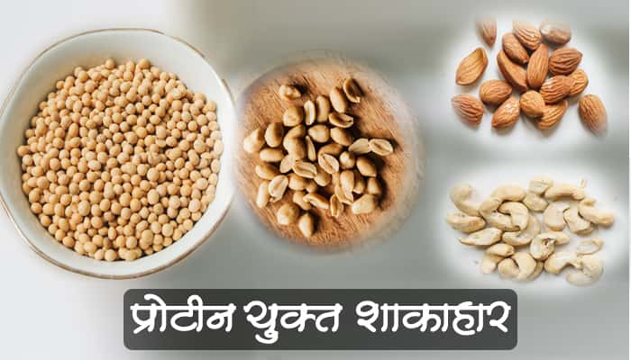 शाकाहार - प्रोटीन युक्त आहार मराठी(Protein yukt ahar information in marathi)